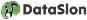 Логотип DataSlon